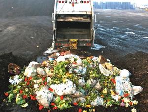 The CHEP-RMIT study on food waste suggests packaging can play a vital role in tackling food security issues in coming decades.